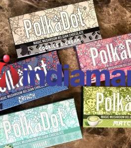polka-crop-c0-51__0-45-1080x1080-70-1-265x300-1.jpeg
